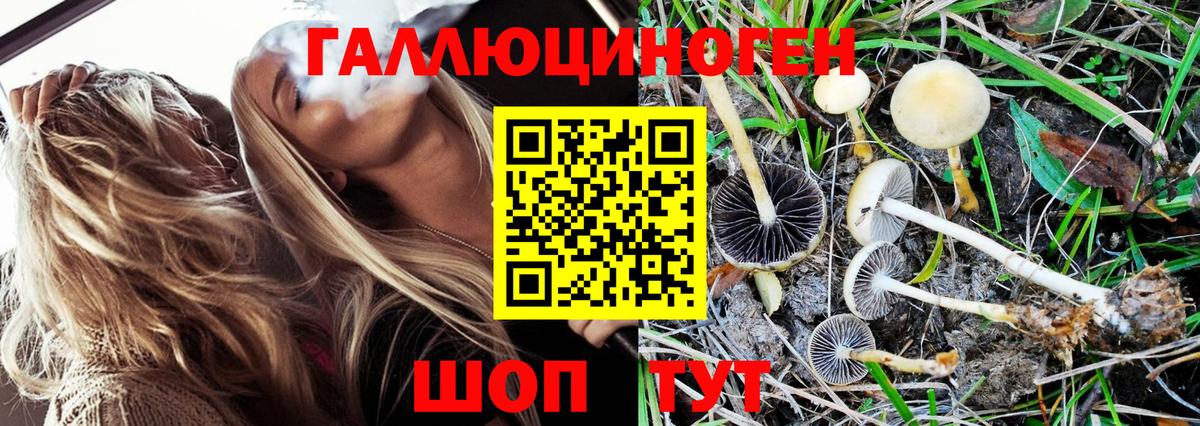 Псилоцибиновые грибы Psilocybine cubensis  Вход с VPN  Нефтекумск 